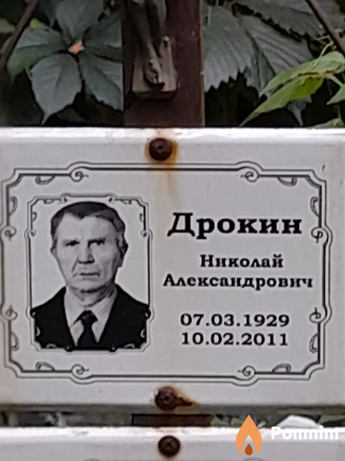 Дрокин Николай Александрович