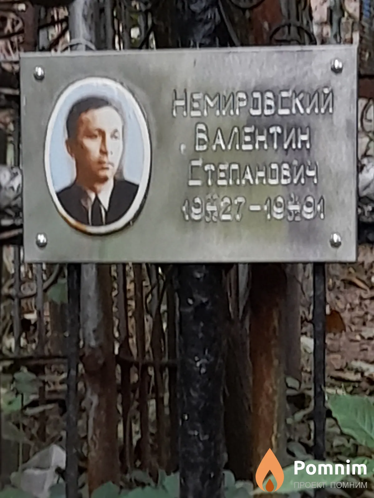 Немировский Валентин Степанович