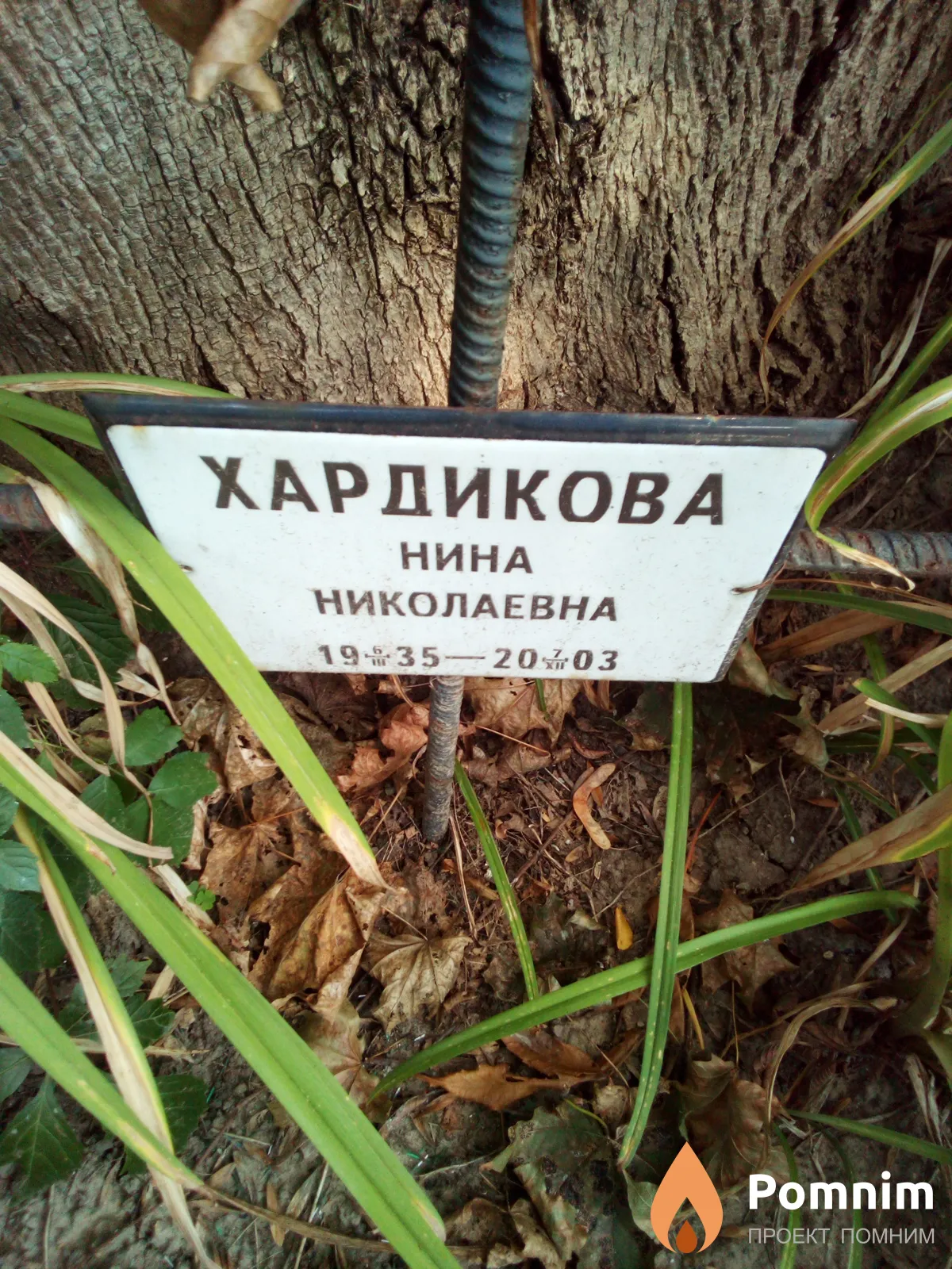 Хардикова Нина Николаевна