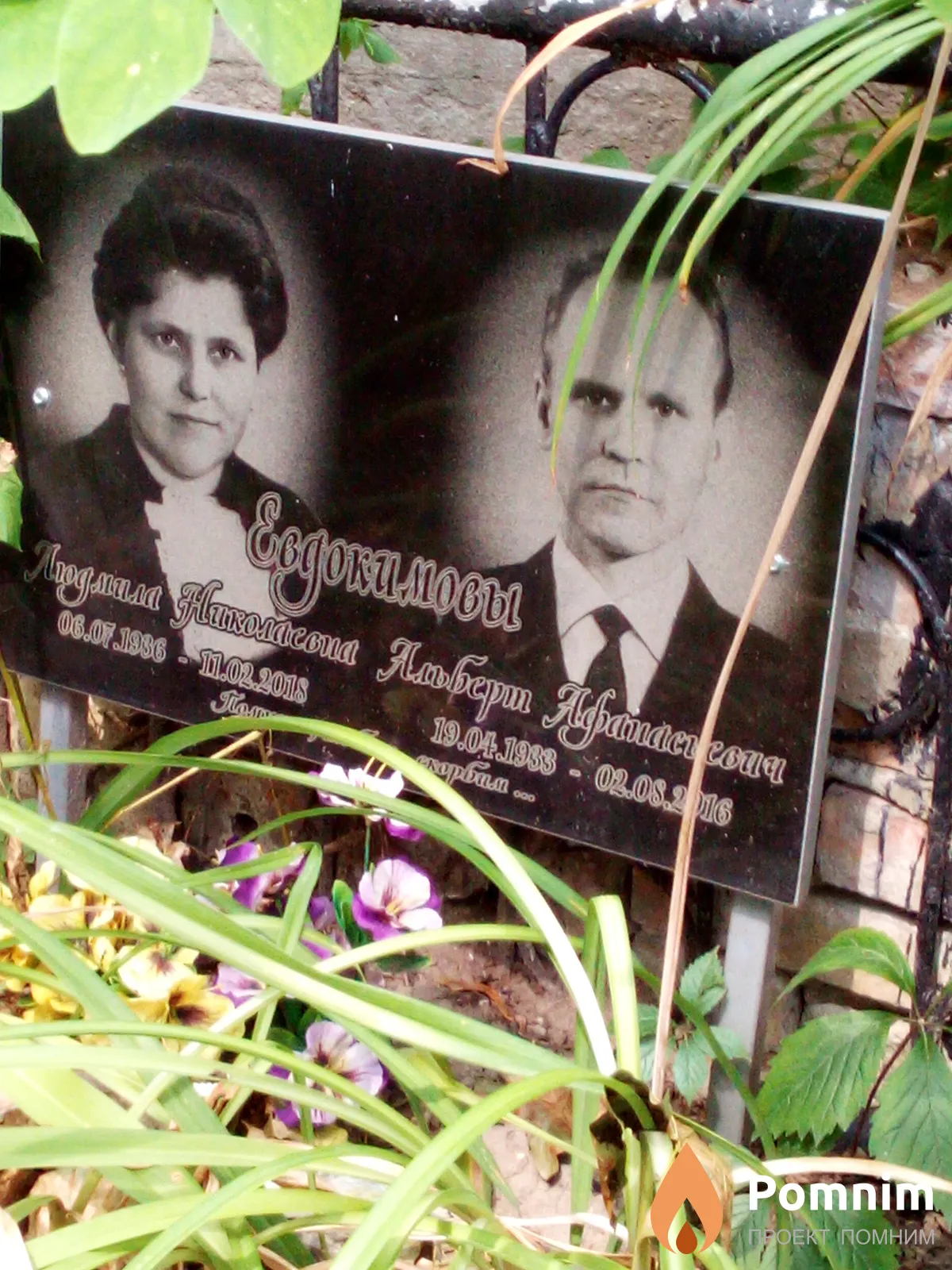 Евдокимов Альберт Афанасьевич