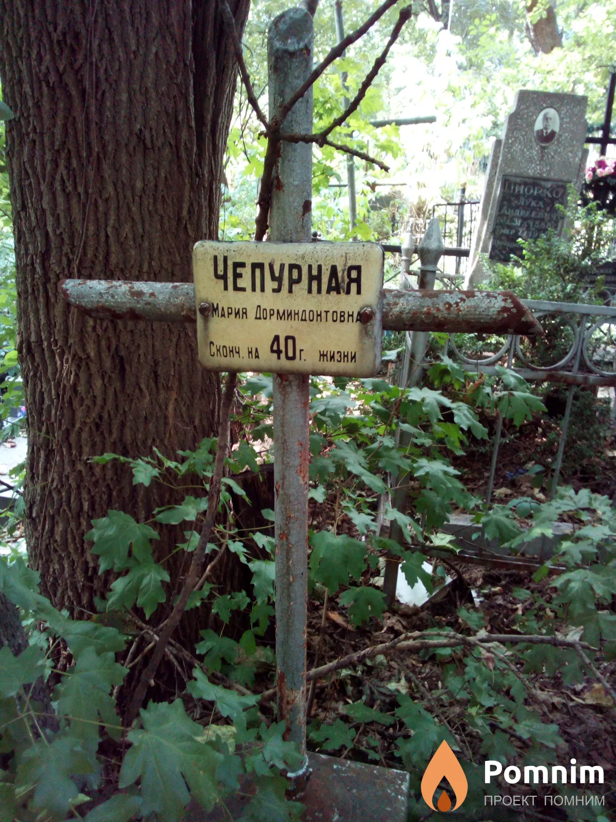 Чепурная Мария Дорминдонтовна