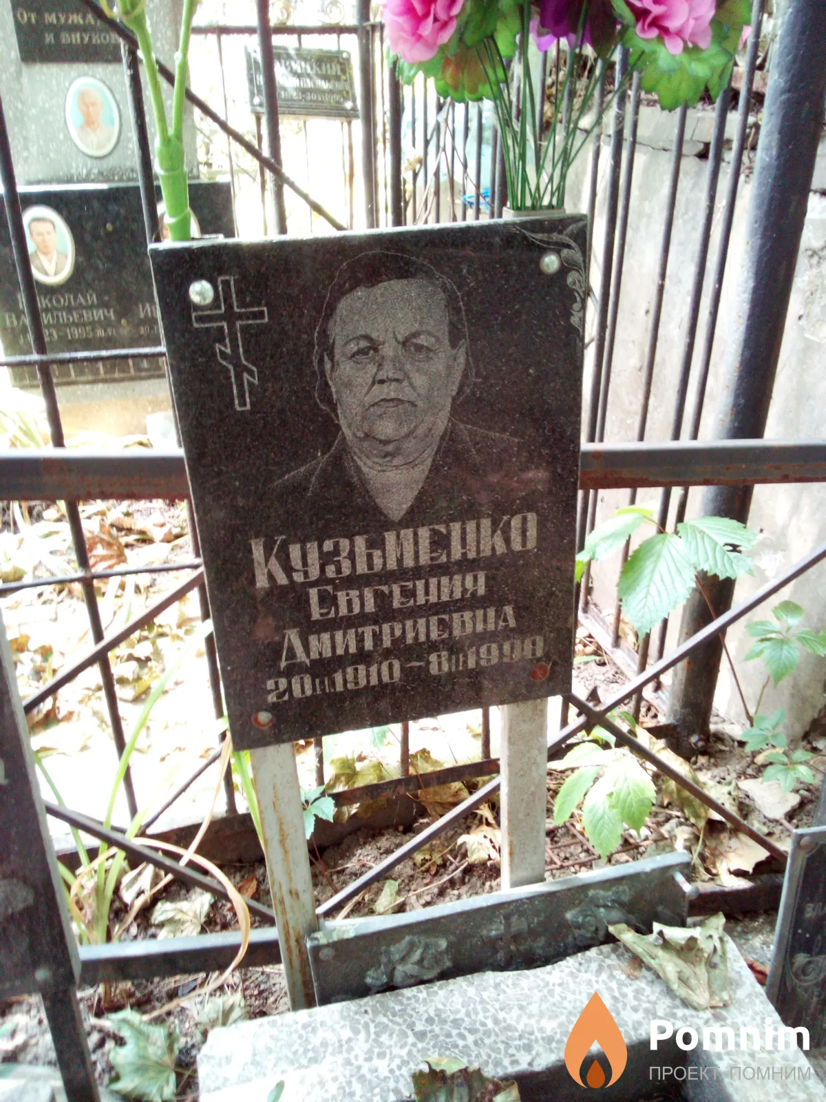 Кузьменко Евгения Дмитриевна