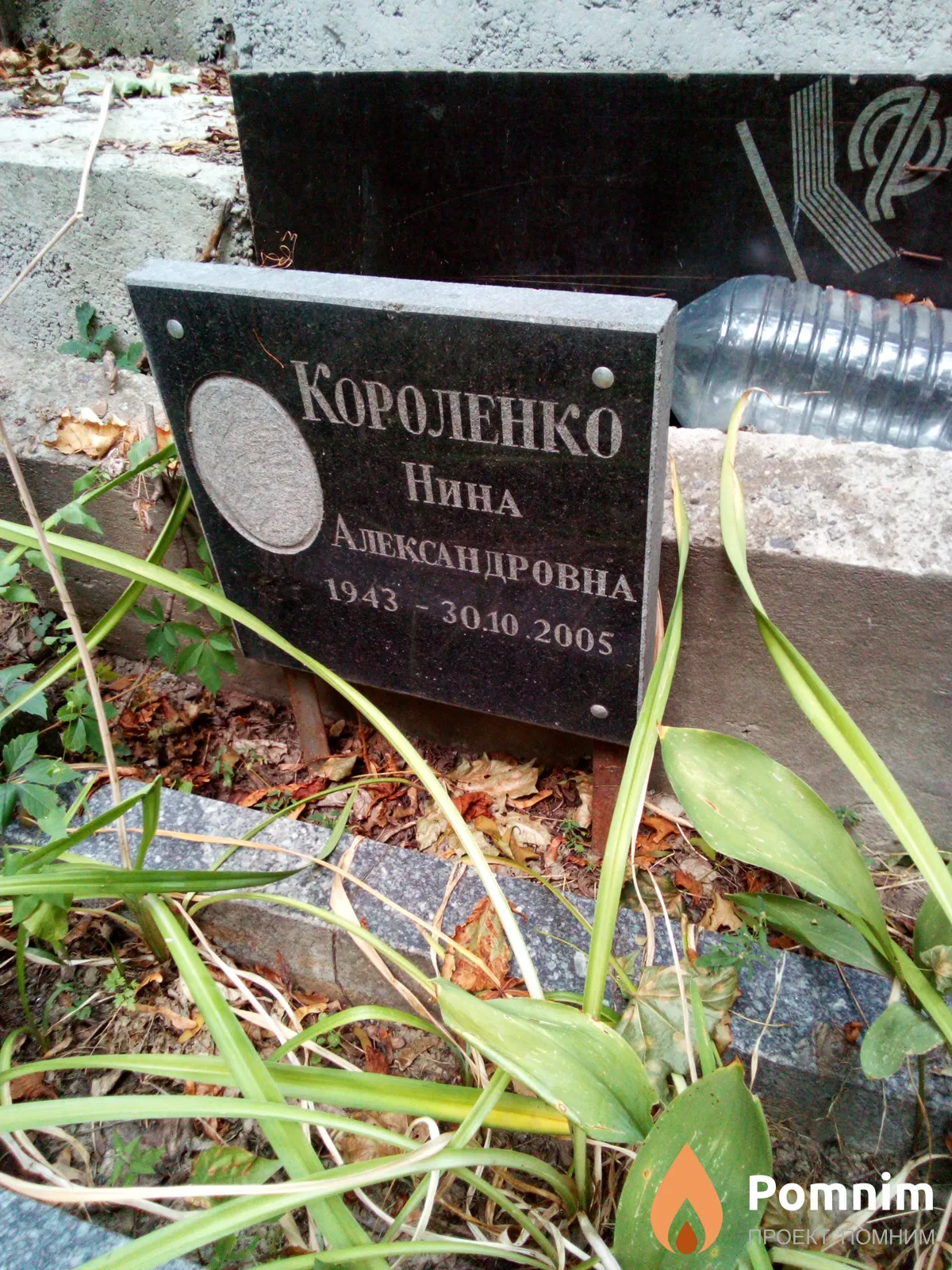 Короленко Нина Александровна