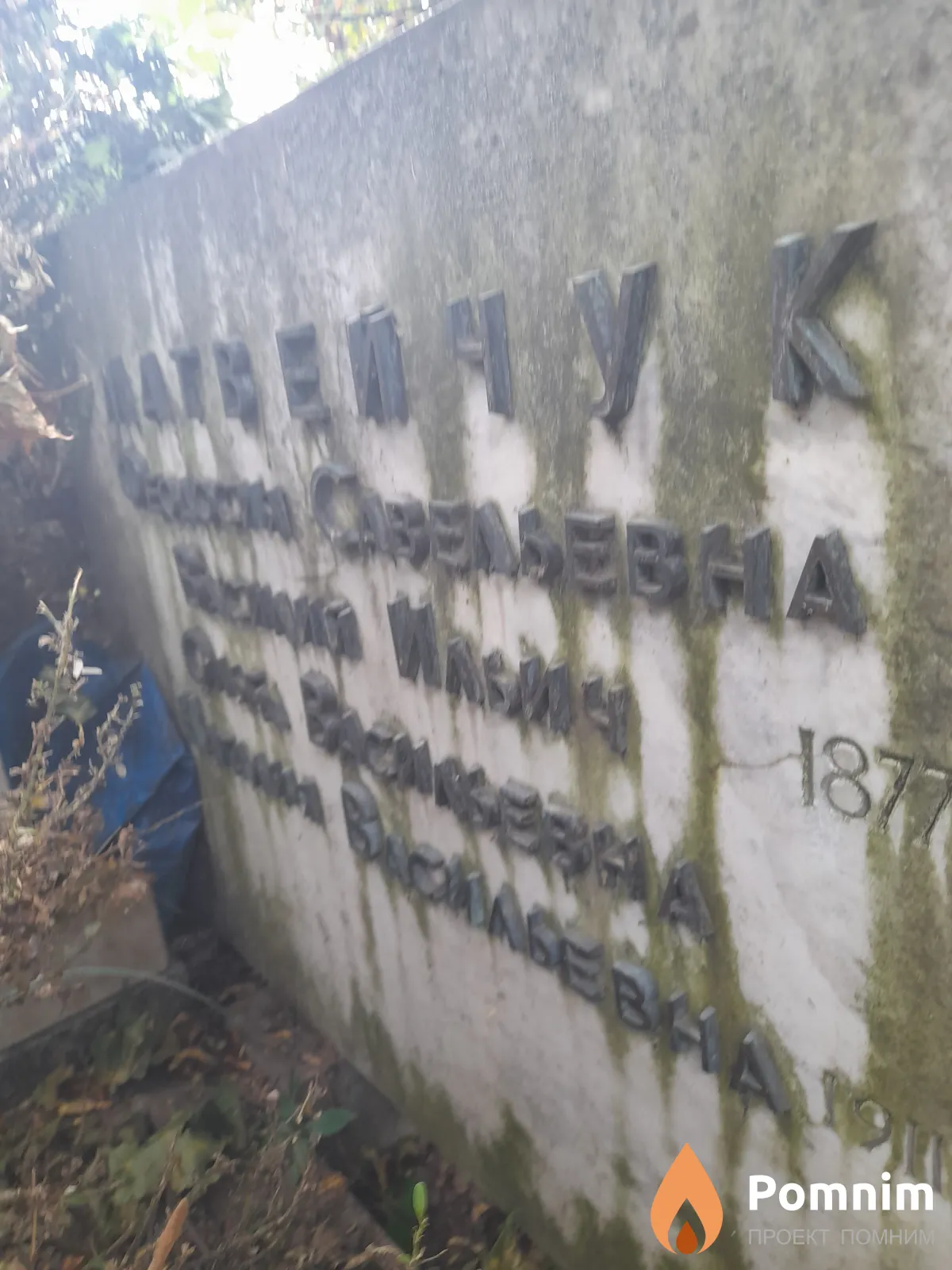 Матвейчук Наталья Васильевна
