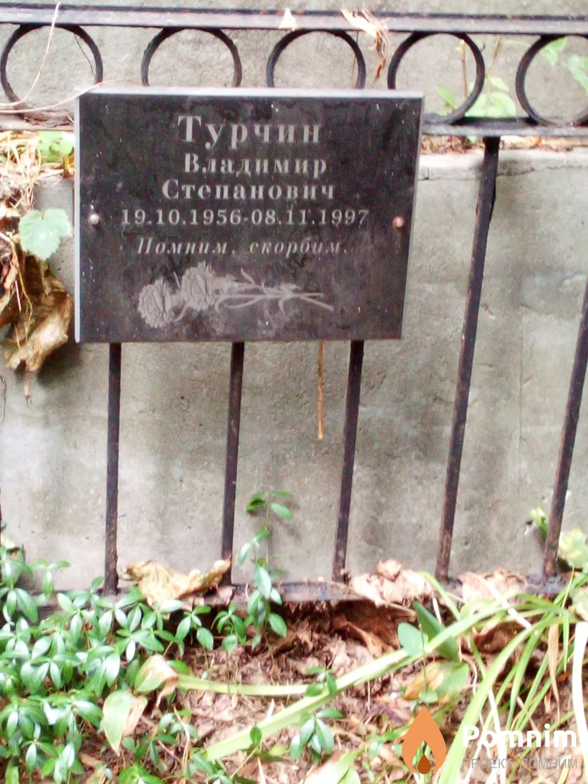Турчин Владимир Степанович
