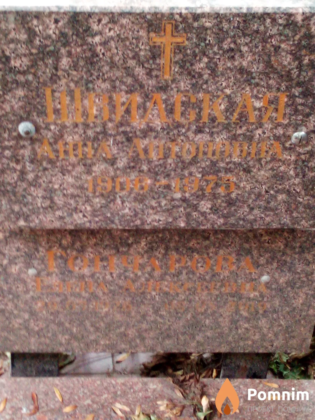 Швидская Анна Антоновна