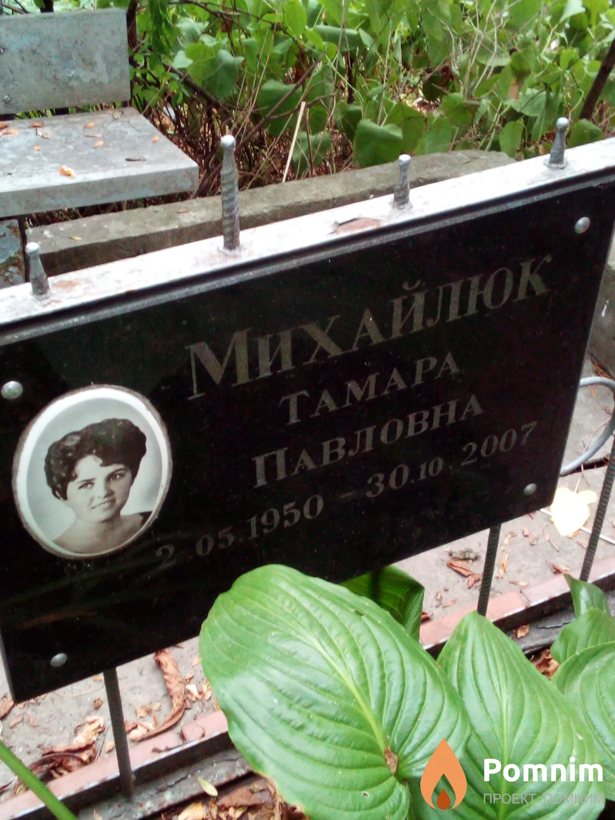 Михайлюк Тамара Павловна