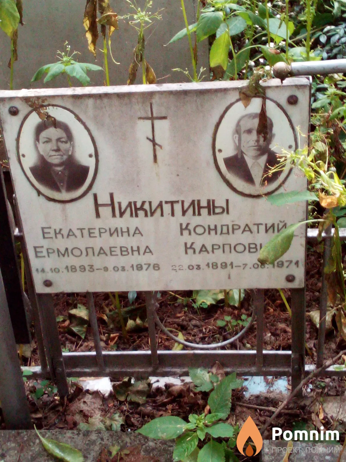 Никитина Екатерина Ермолаевна