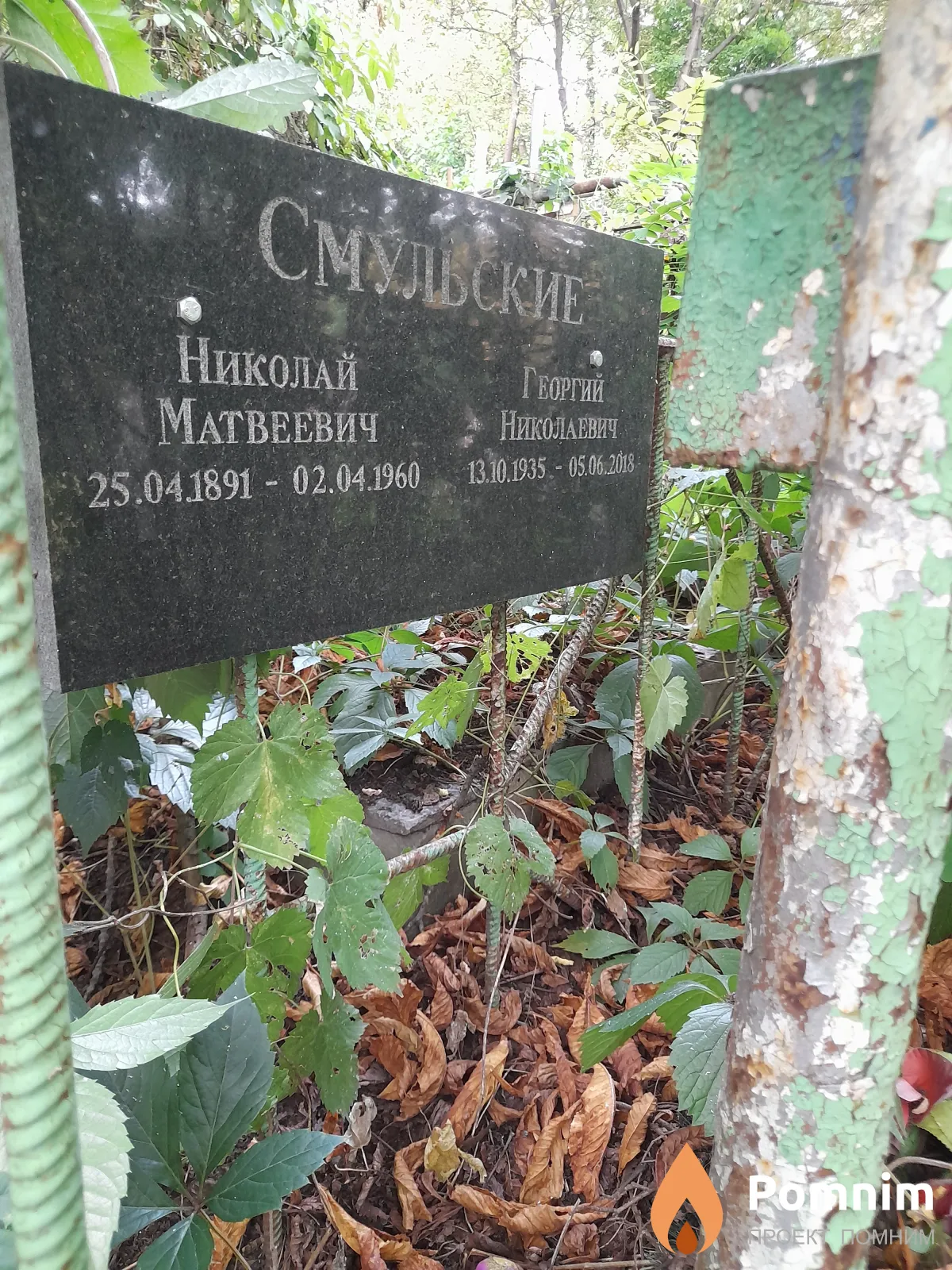 Смульский Георгий Николаевич
