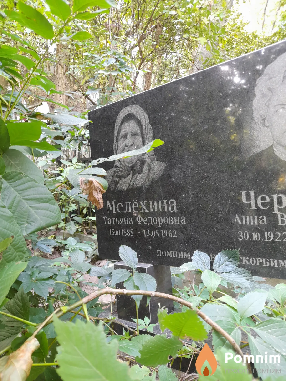 Мелехина Татьяна Федоровна