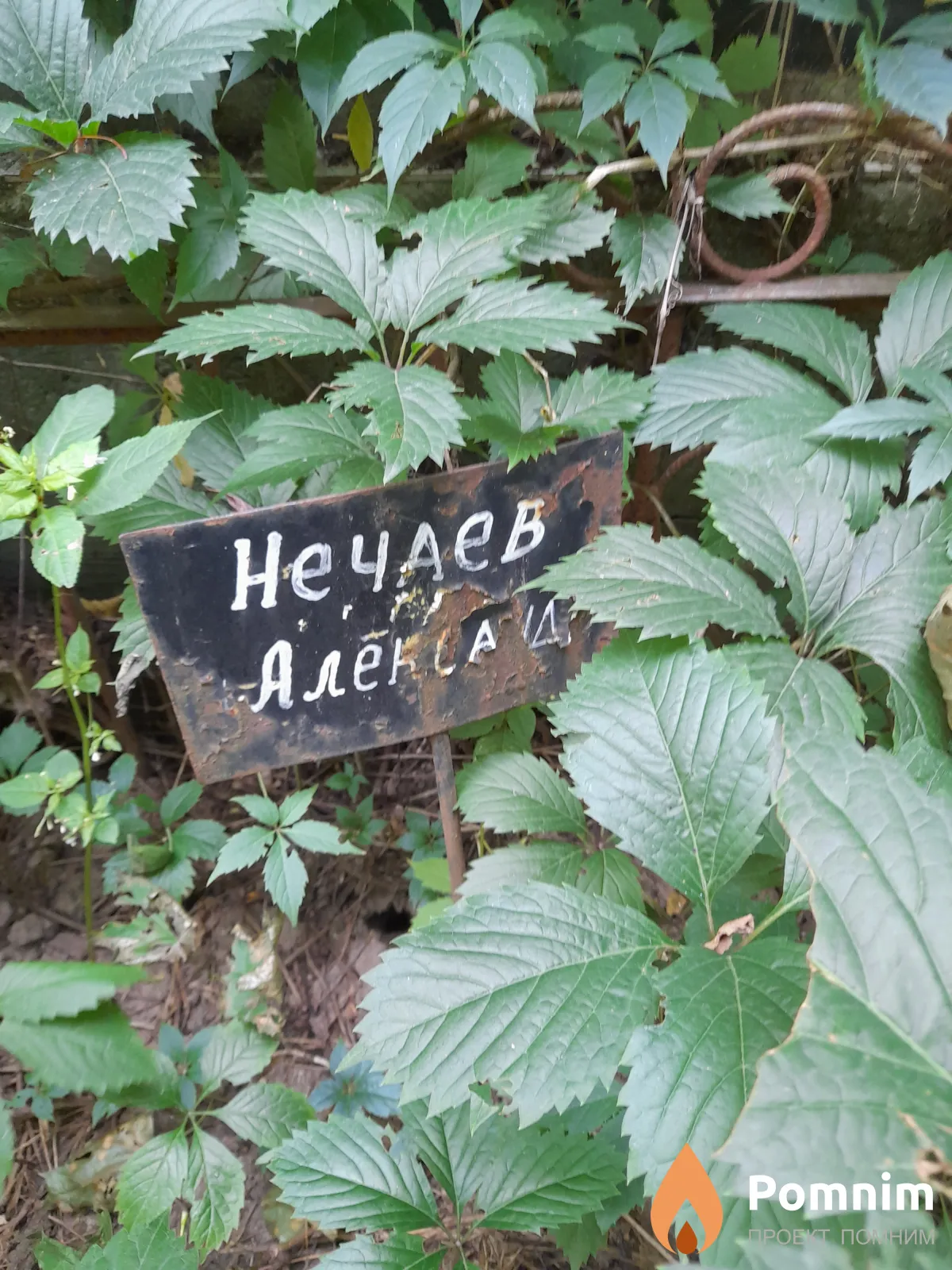 Нечаев Александр