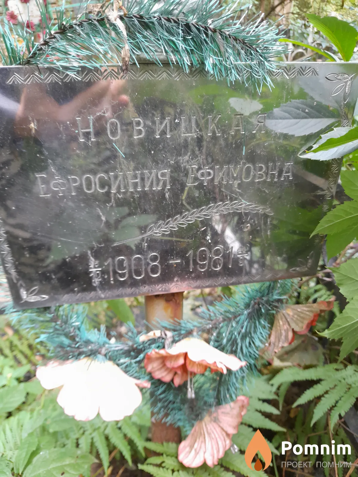 Новицкая Ефросиния Ефимовна