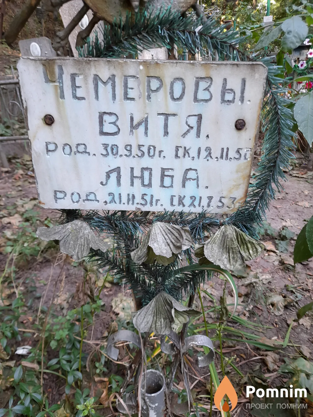 Чемеров Витя