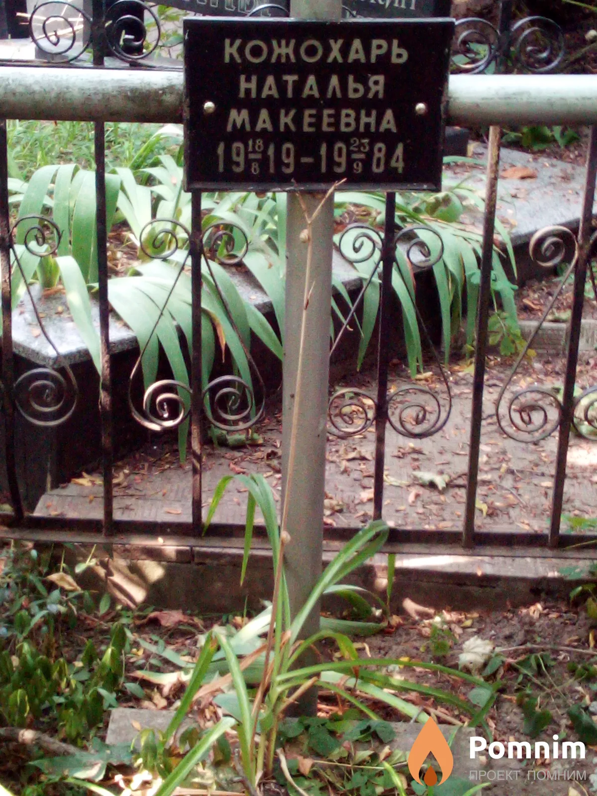 Кожохарь Наталья Макеевна