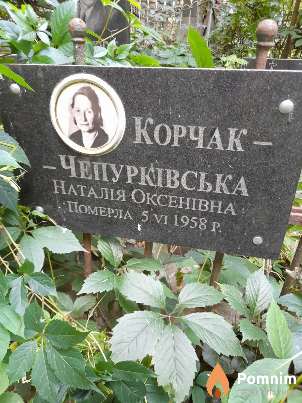 Корчак-Чепурківська Наталія Оксенівна