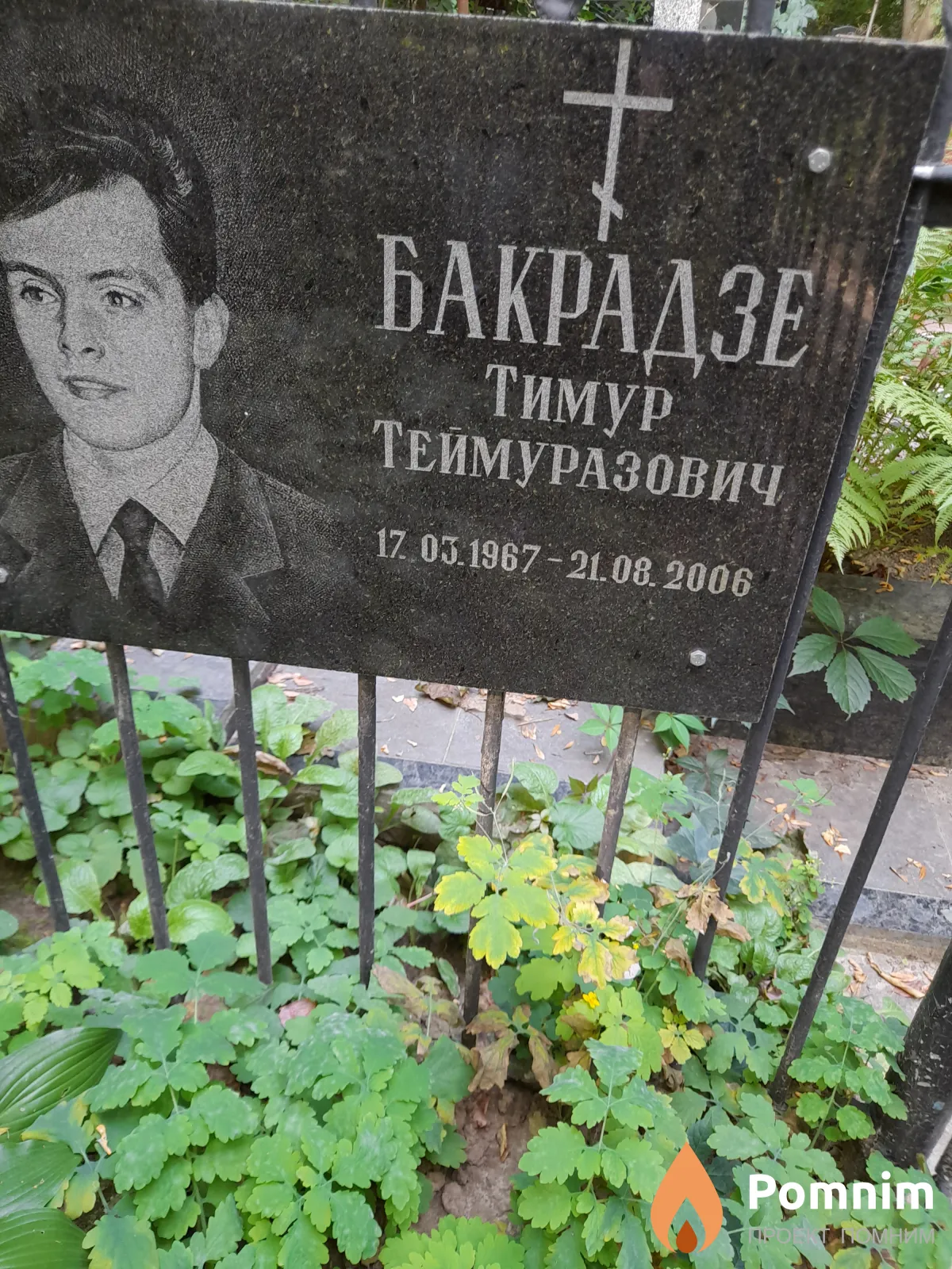Бакрадзе Тимур Теймуразович