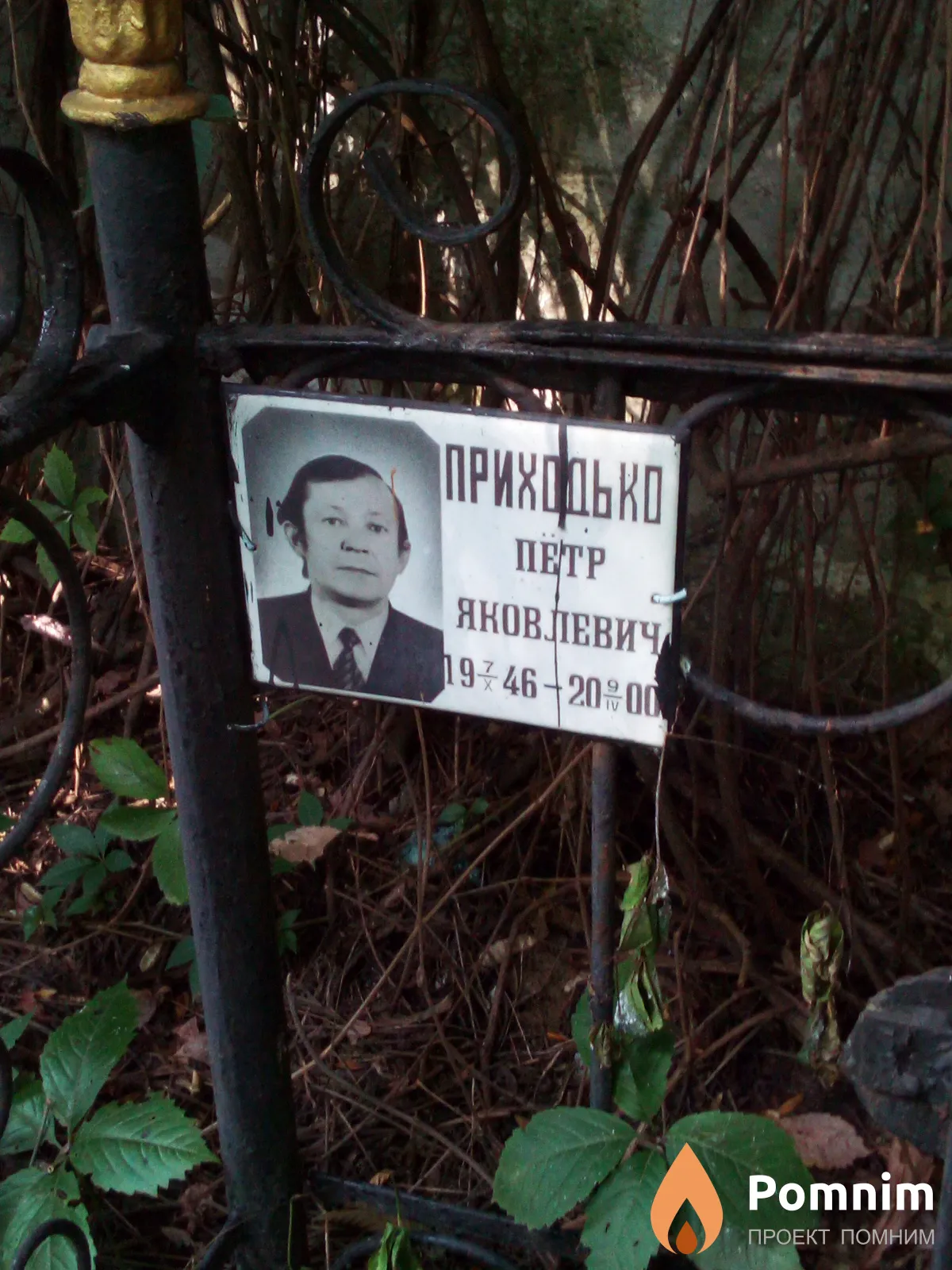 Приходько Петр Яковлевич