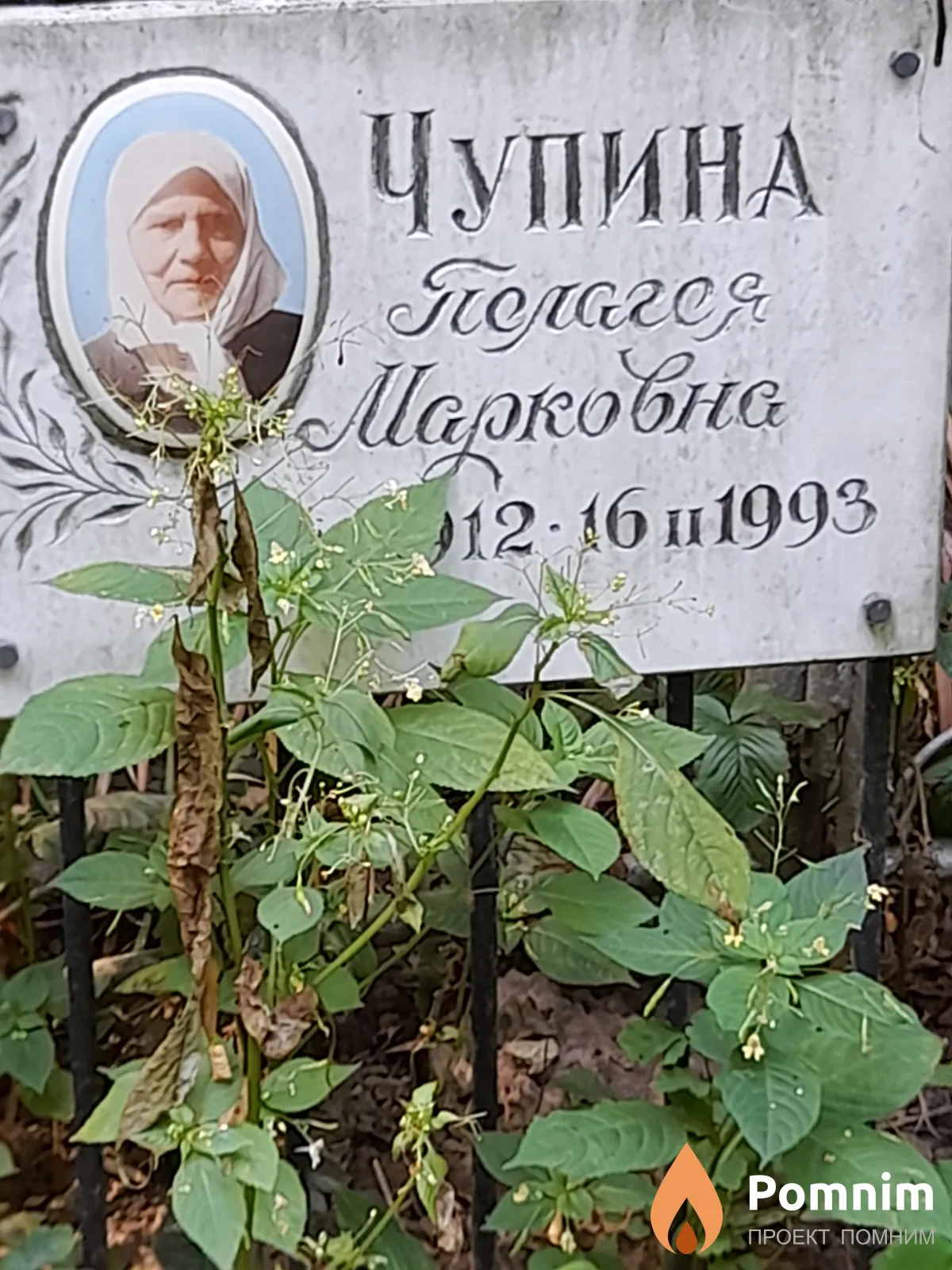 Чупина Пелагея Марковна