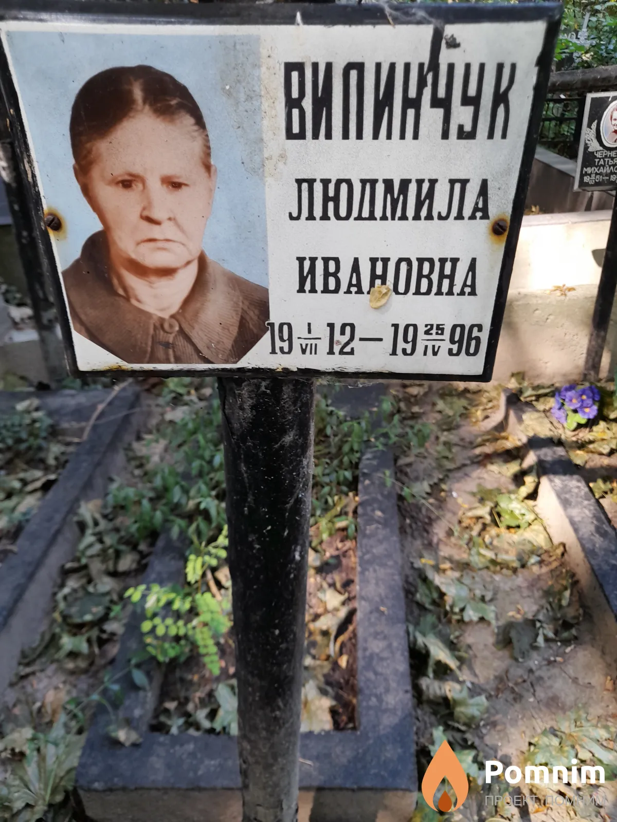 Вилинчук Людмила Ивановна
