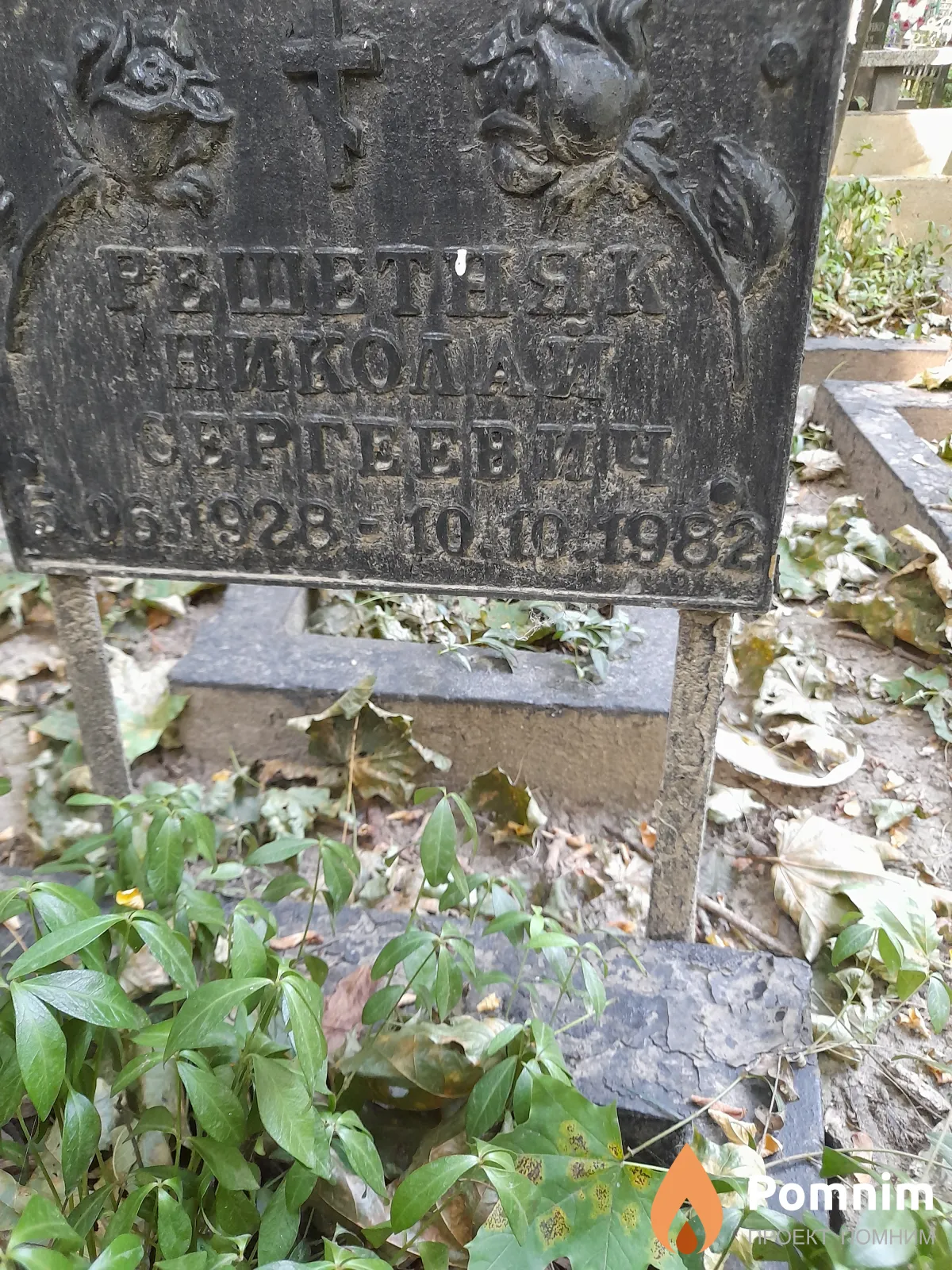 Решетняк Николай Сергеевич