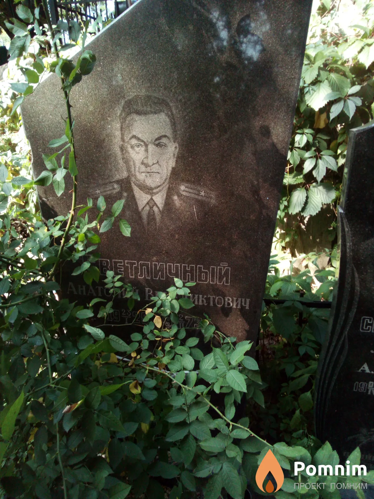 Светличный Анатолий Венедиктович