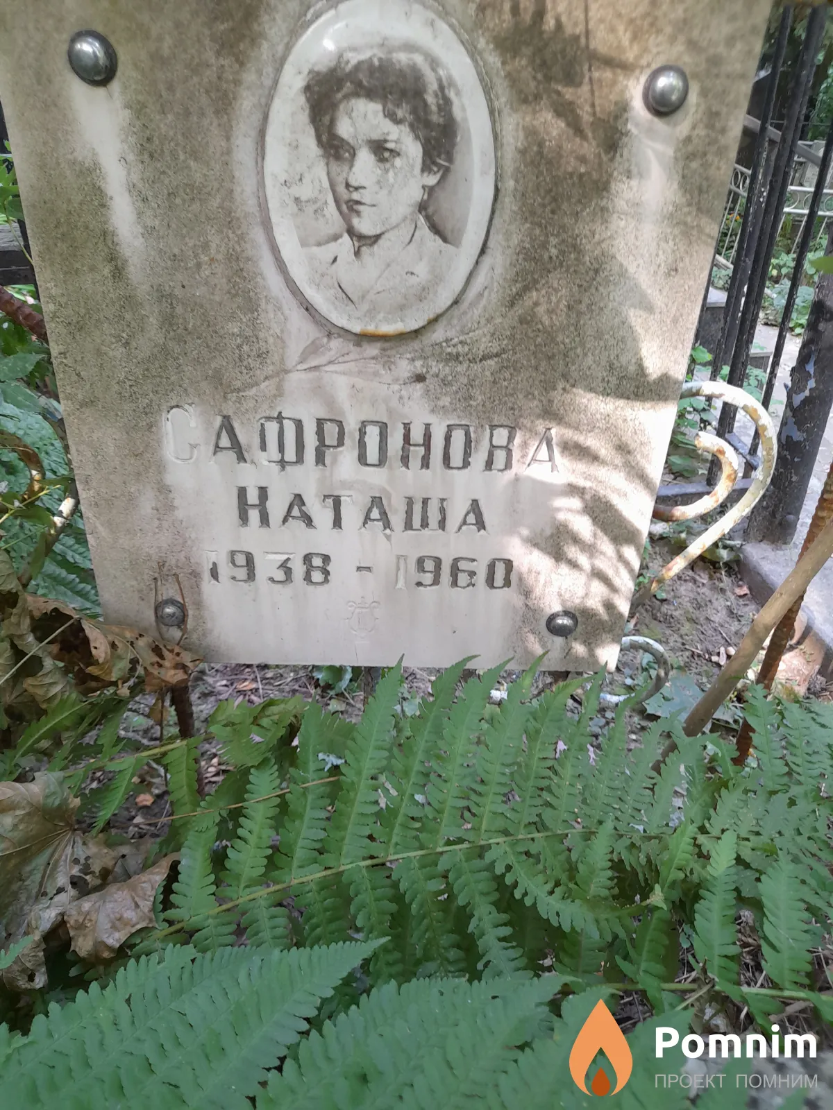 Сафронова Наташа