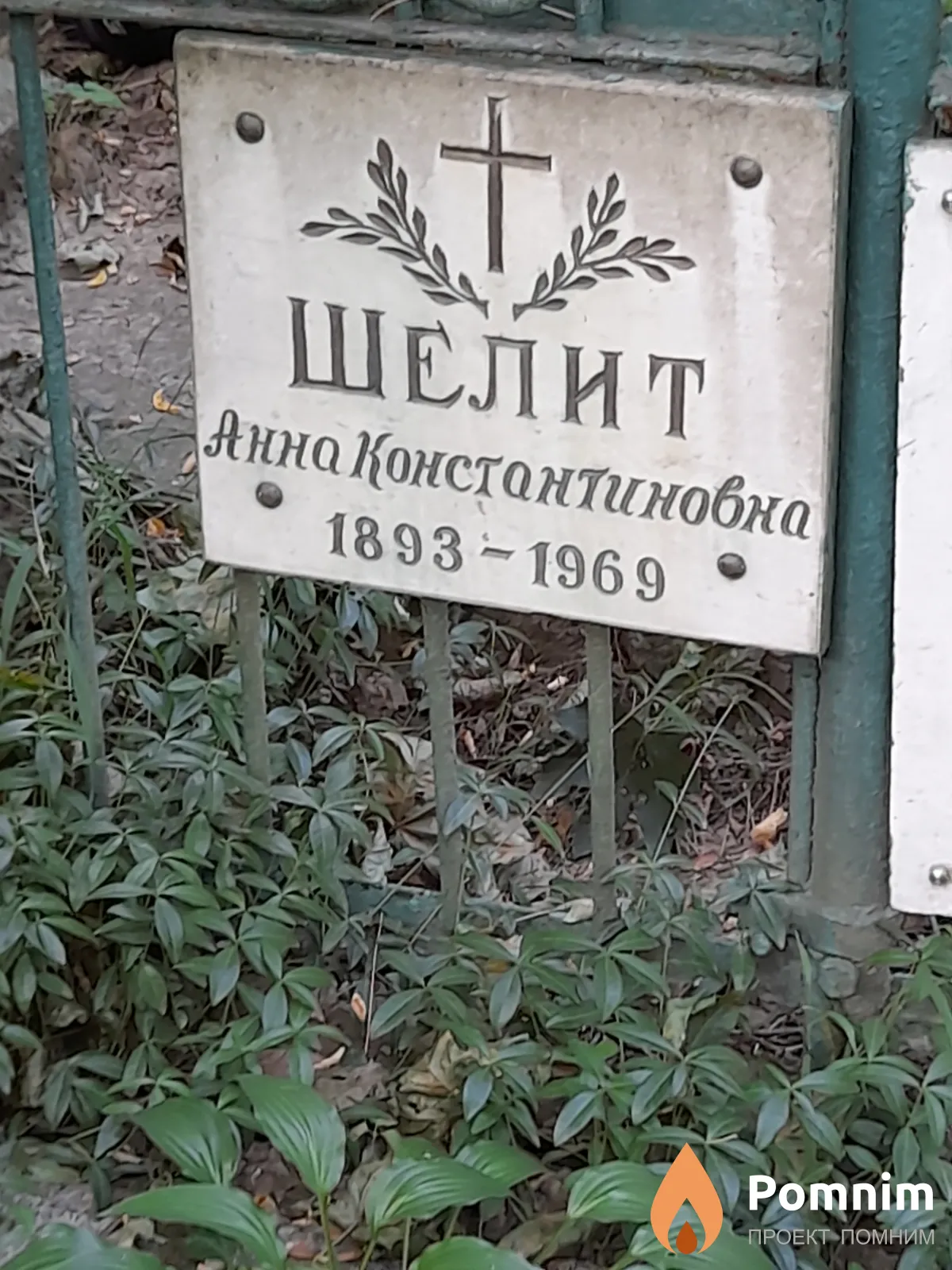 Шелит Анна Константиновна