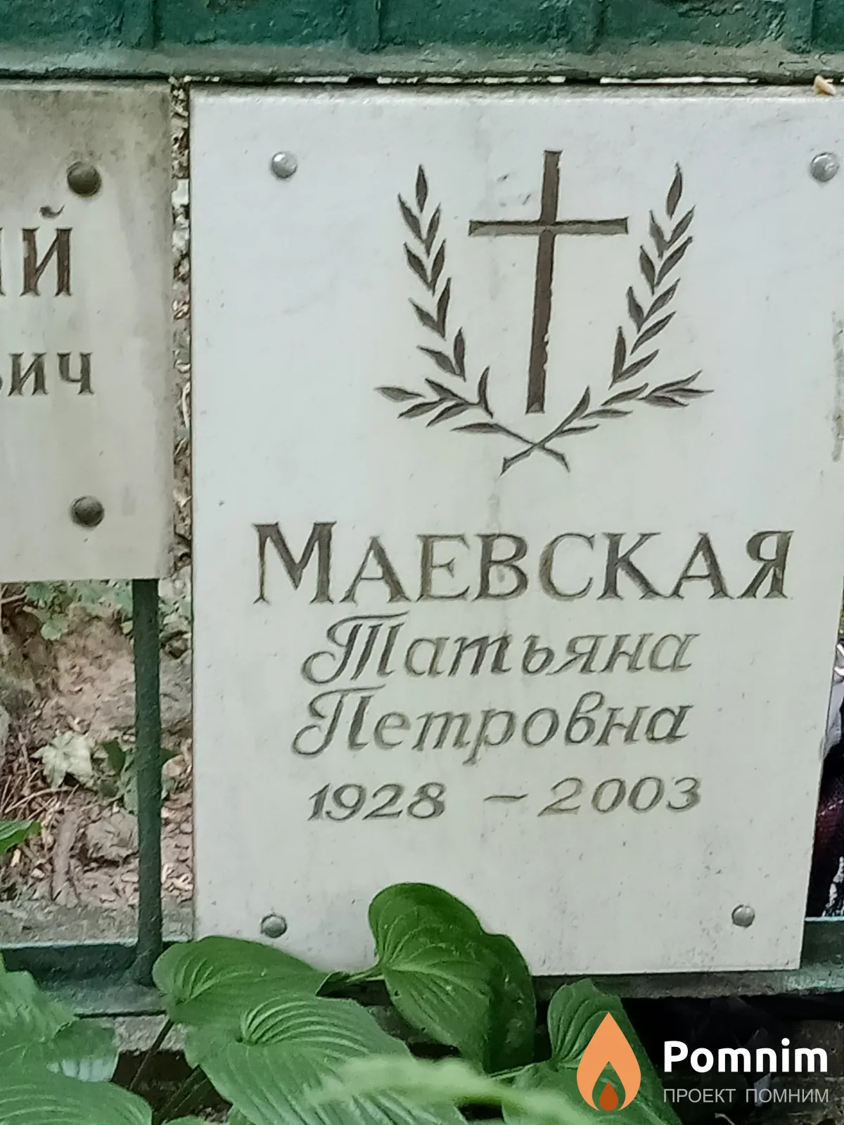 Маевская Татьяна Петровна