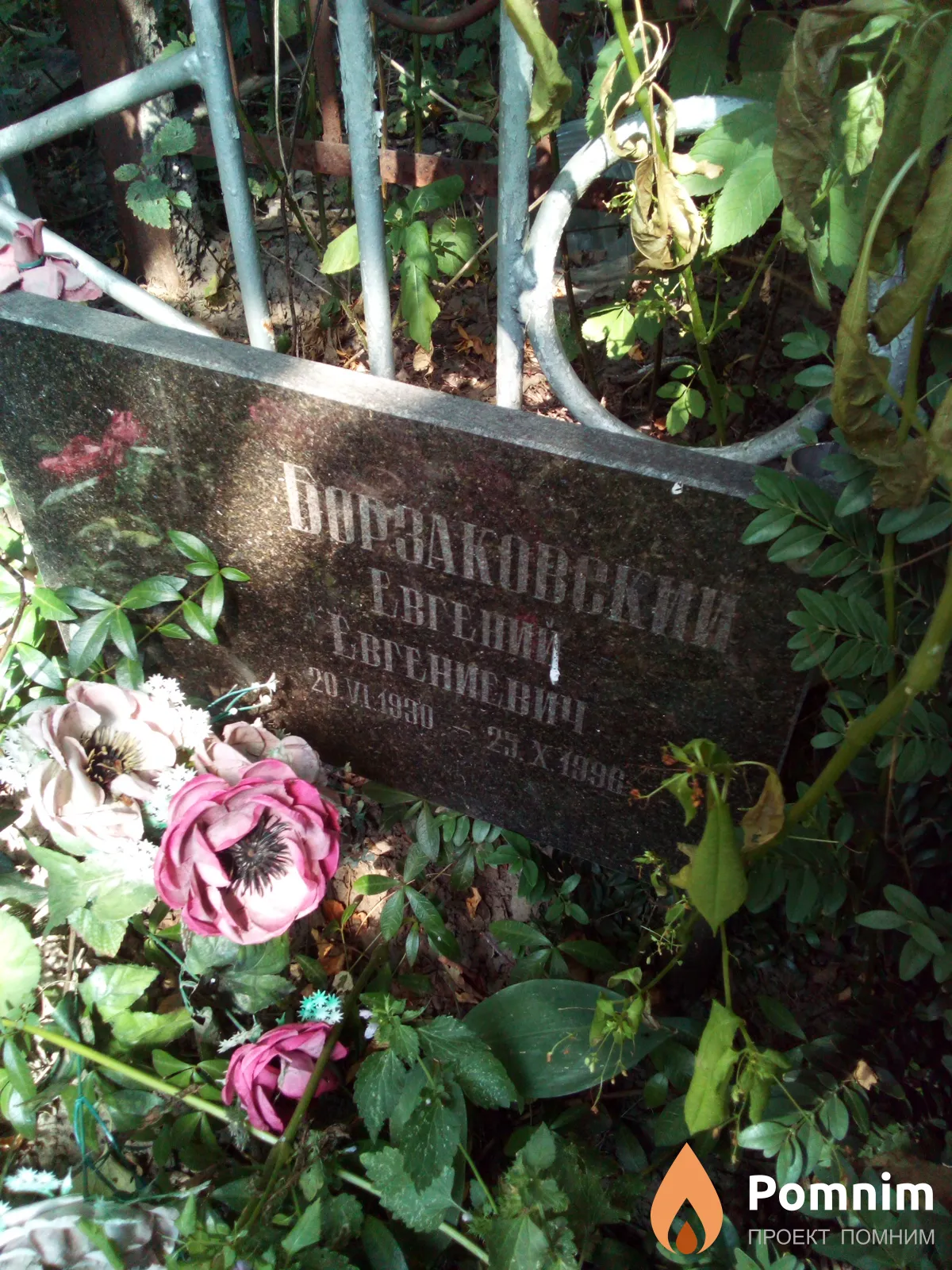 Борзаковский Евгений Евгениевич