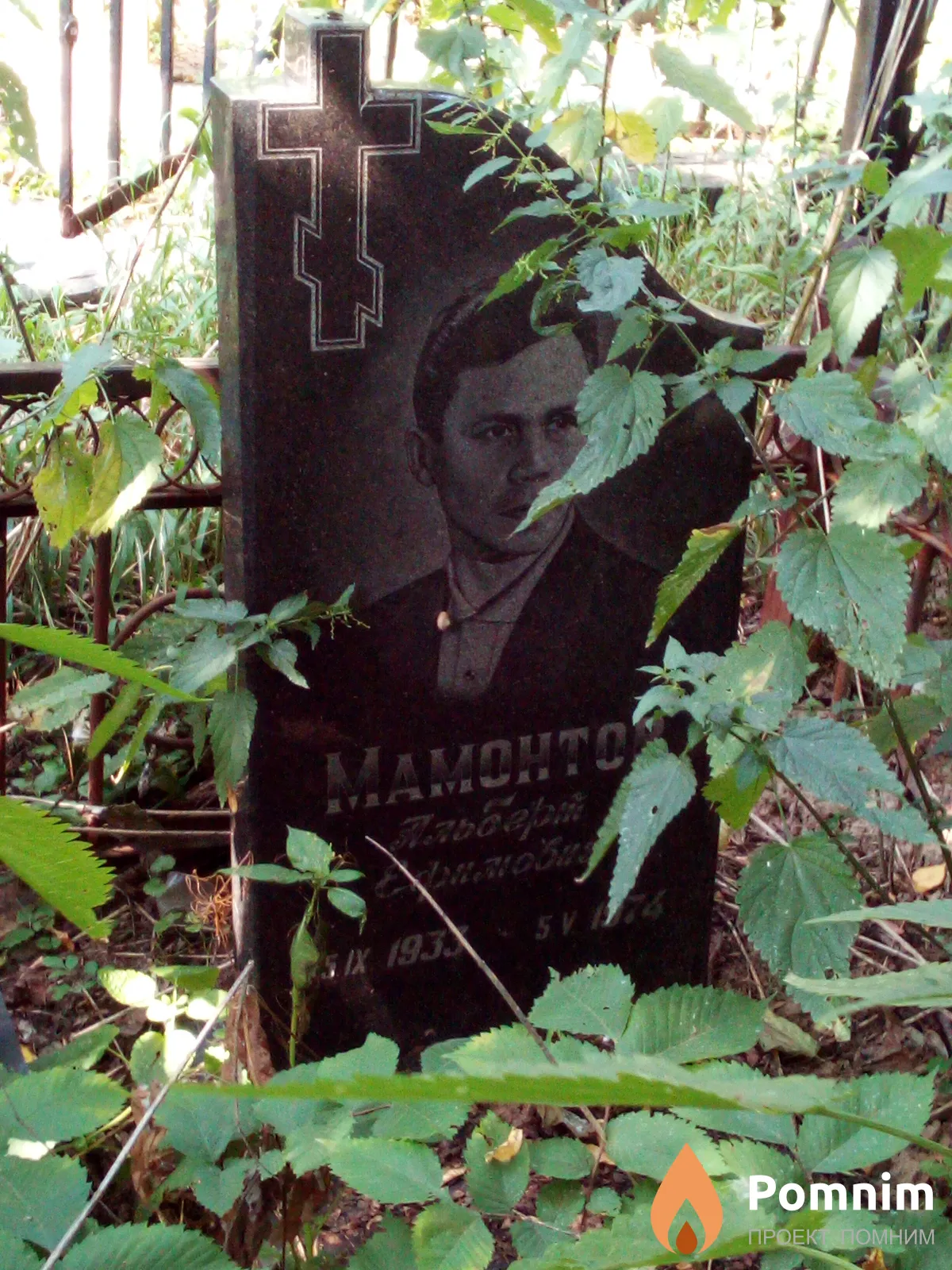 Мамонтов Альберт Ефимович
