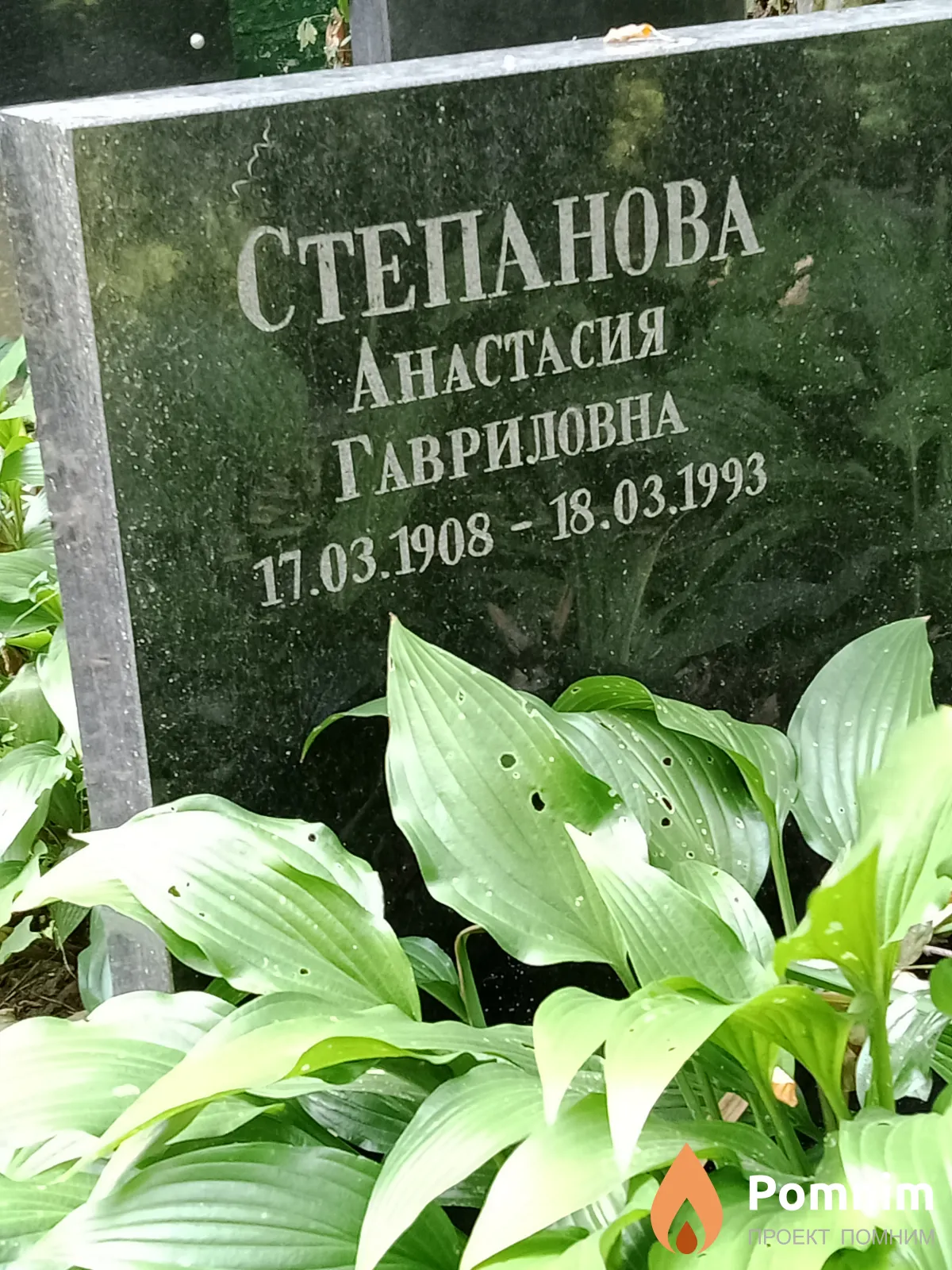 Степанова Анастасия Гавриловна