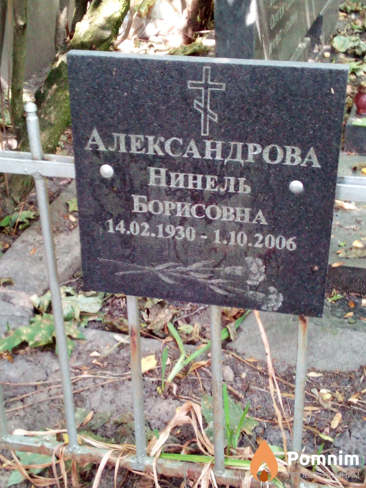 Александрова Нинель Борисовна
