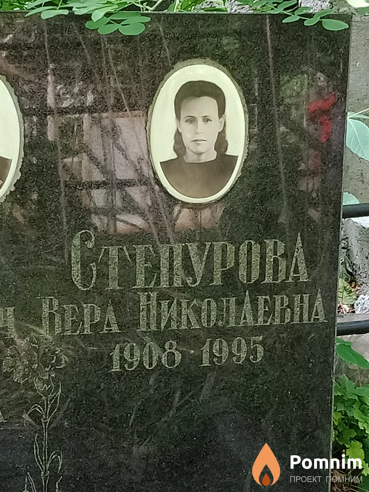 Степурова Вера Николаевна
