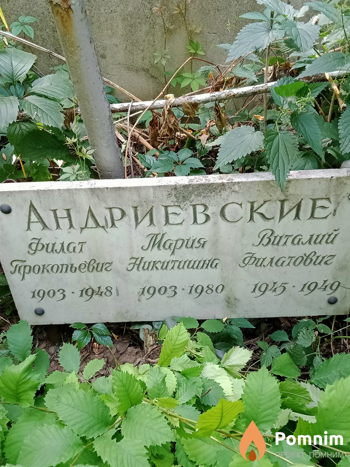 Андриевский Виталий Филатович