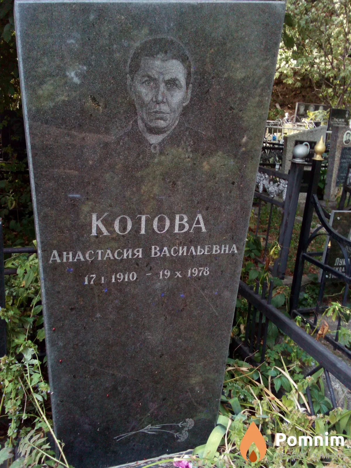 Котова Анастасия Васильевна