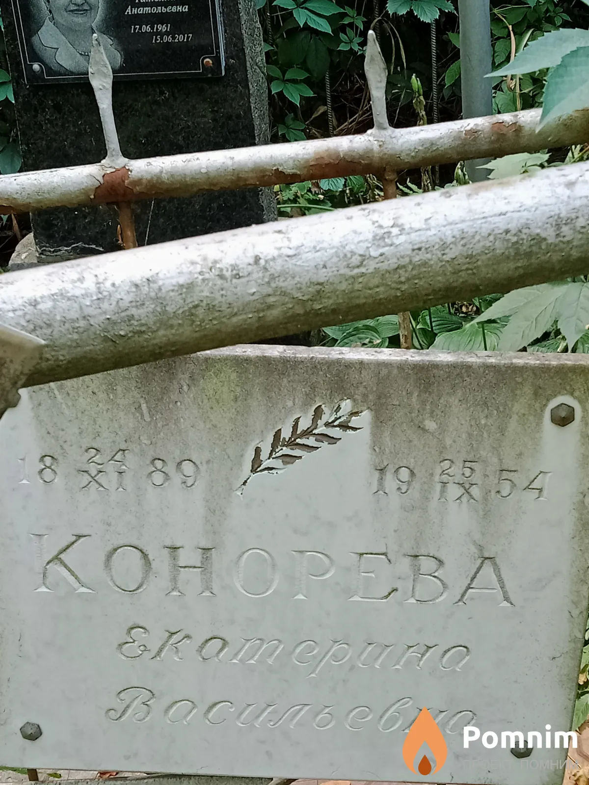 Конорева Екатерина Васильевна