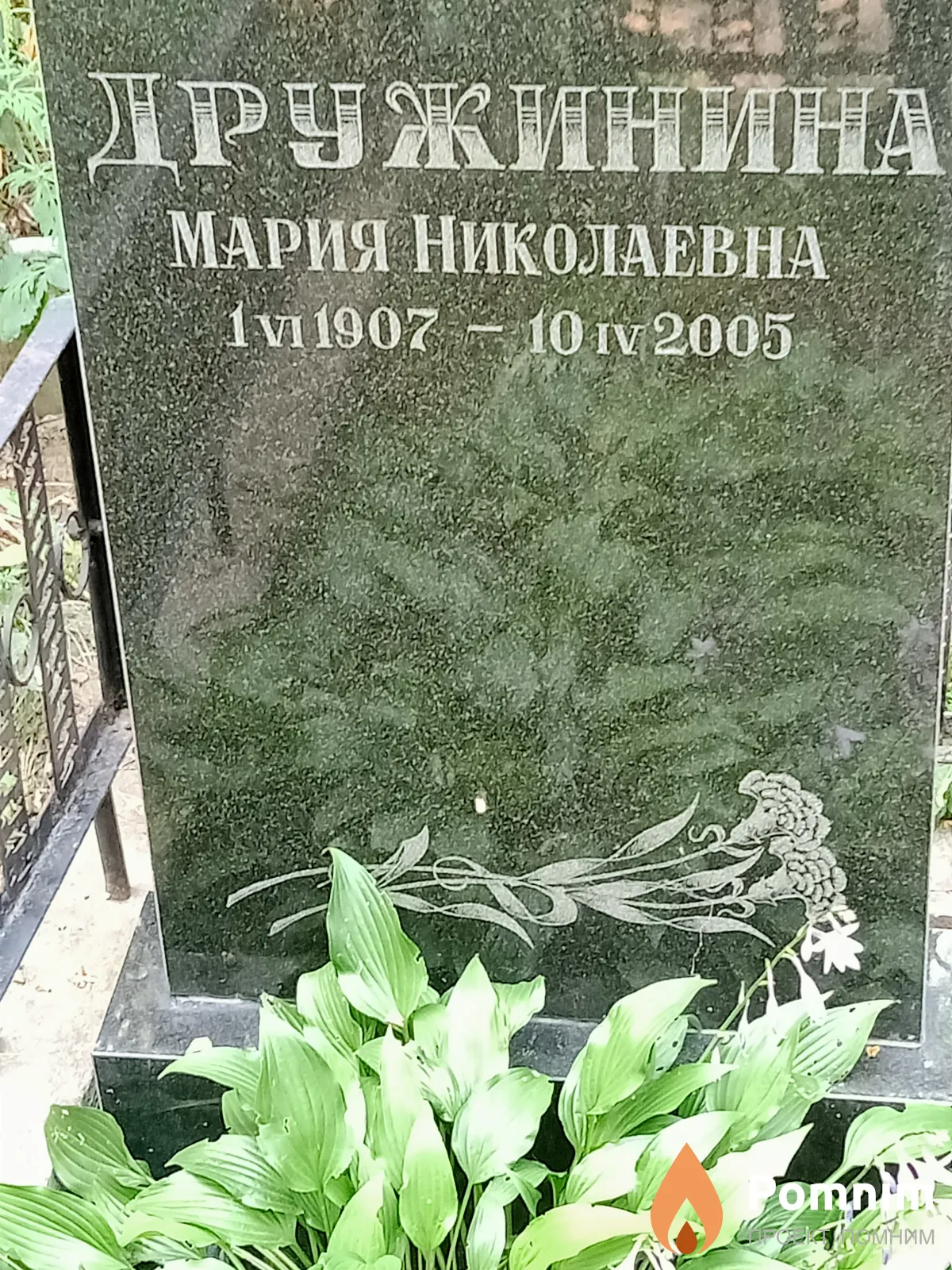 Дружинина Мария Николаевна
