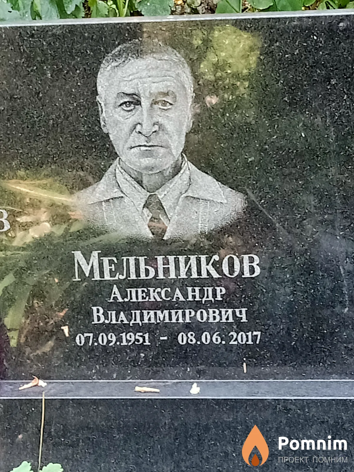 Мельников Александр Владимирович
