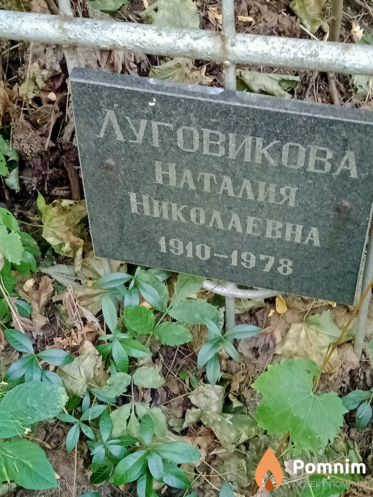 Луговикова Наталия Николаевна