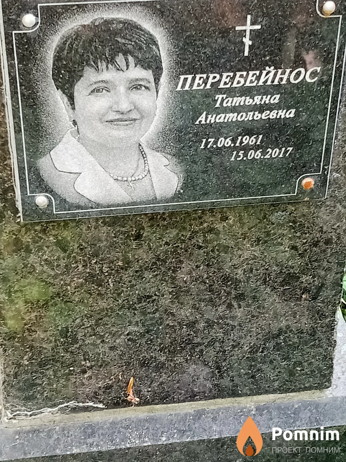 Перебейнос Татьяна Анатольевна