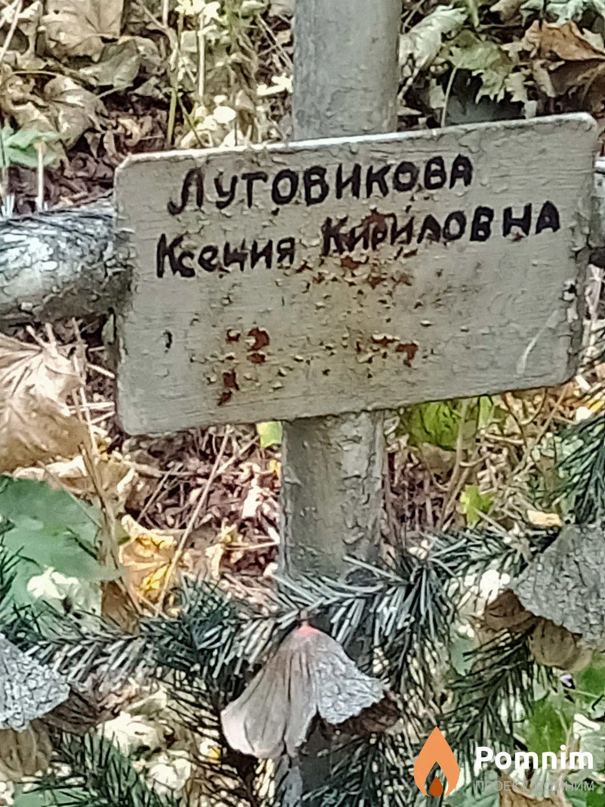 Луговикова Ксения Кириловна