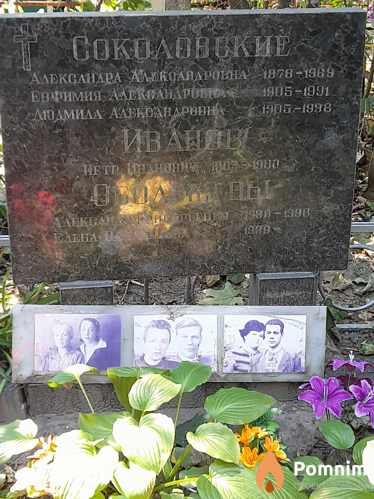 Соколовская Евфимея Александровна