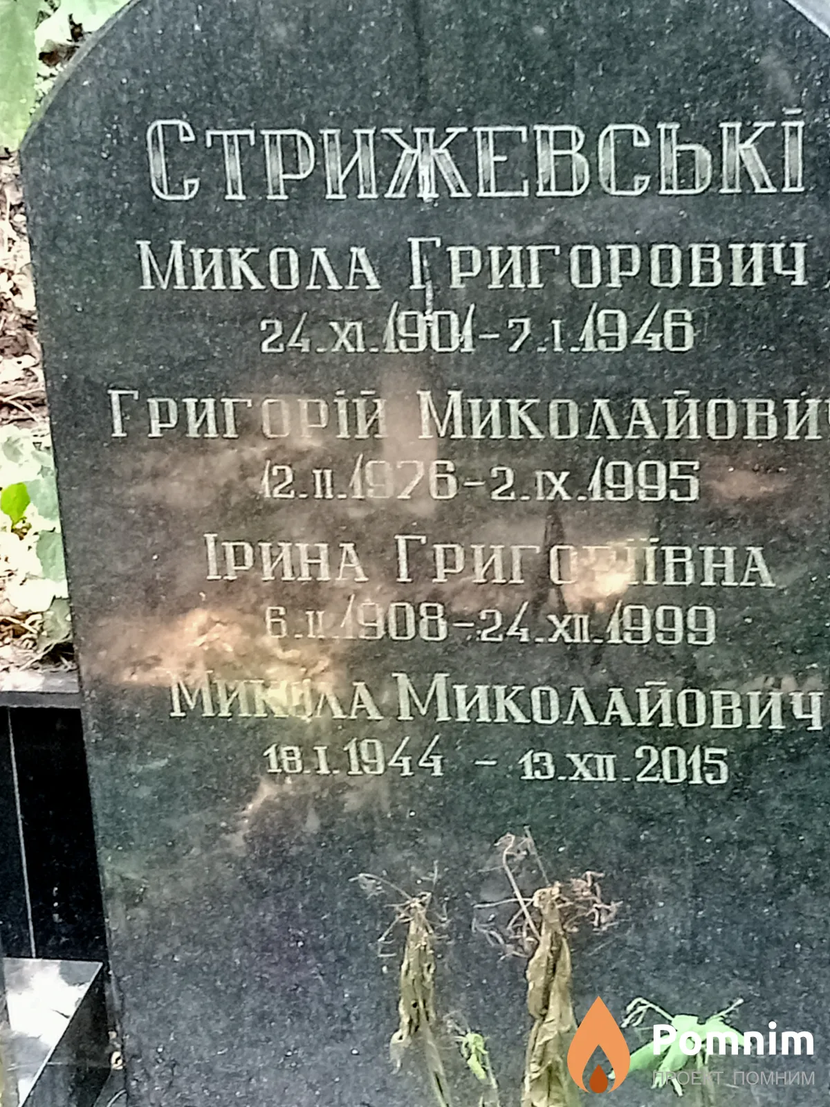 Стрижевська Ірина Григоріївна