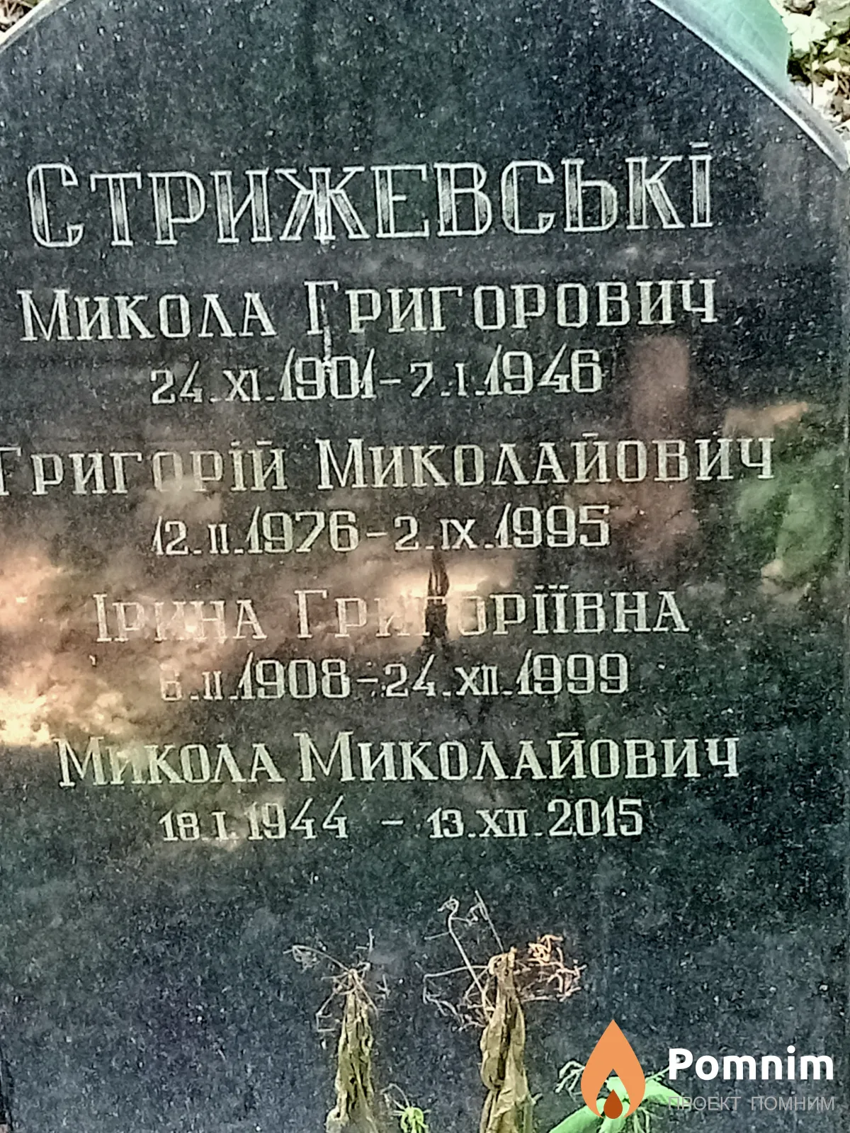 Стрижевський Микола Миколайович