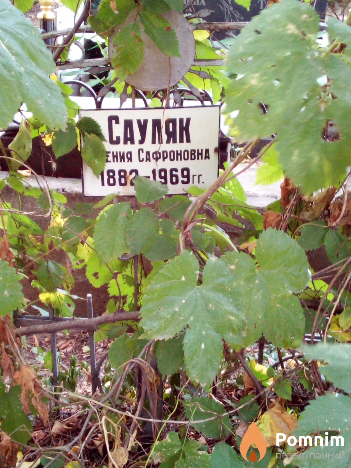 Сауляк Ксенияия Сафроновна