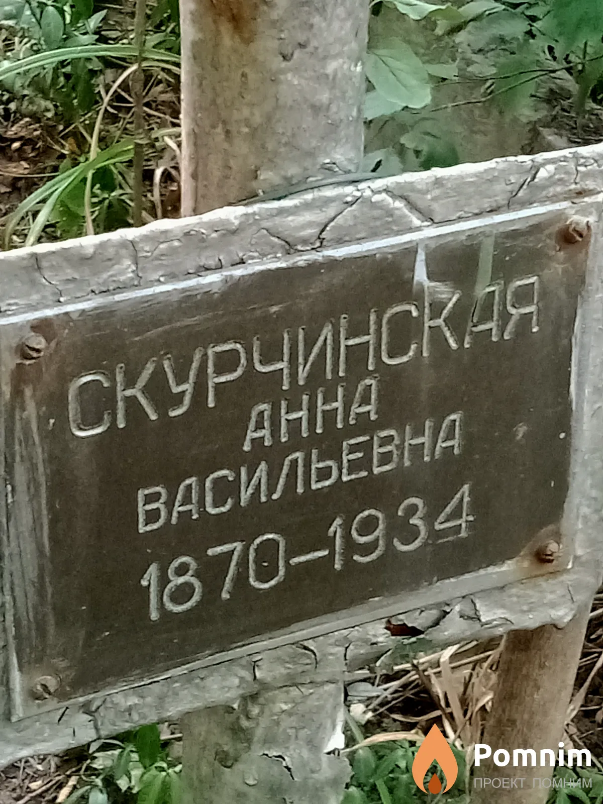 Скурчинская Анна Васильевна