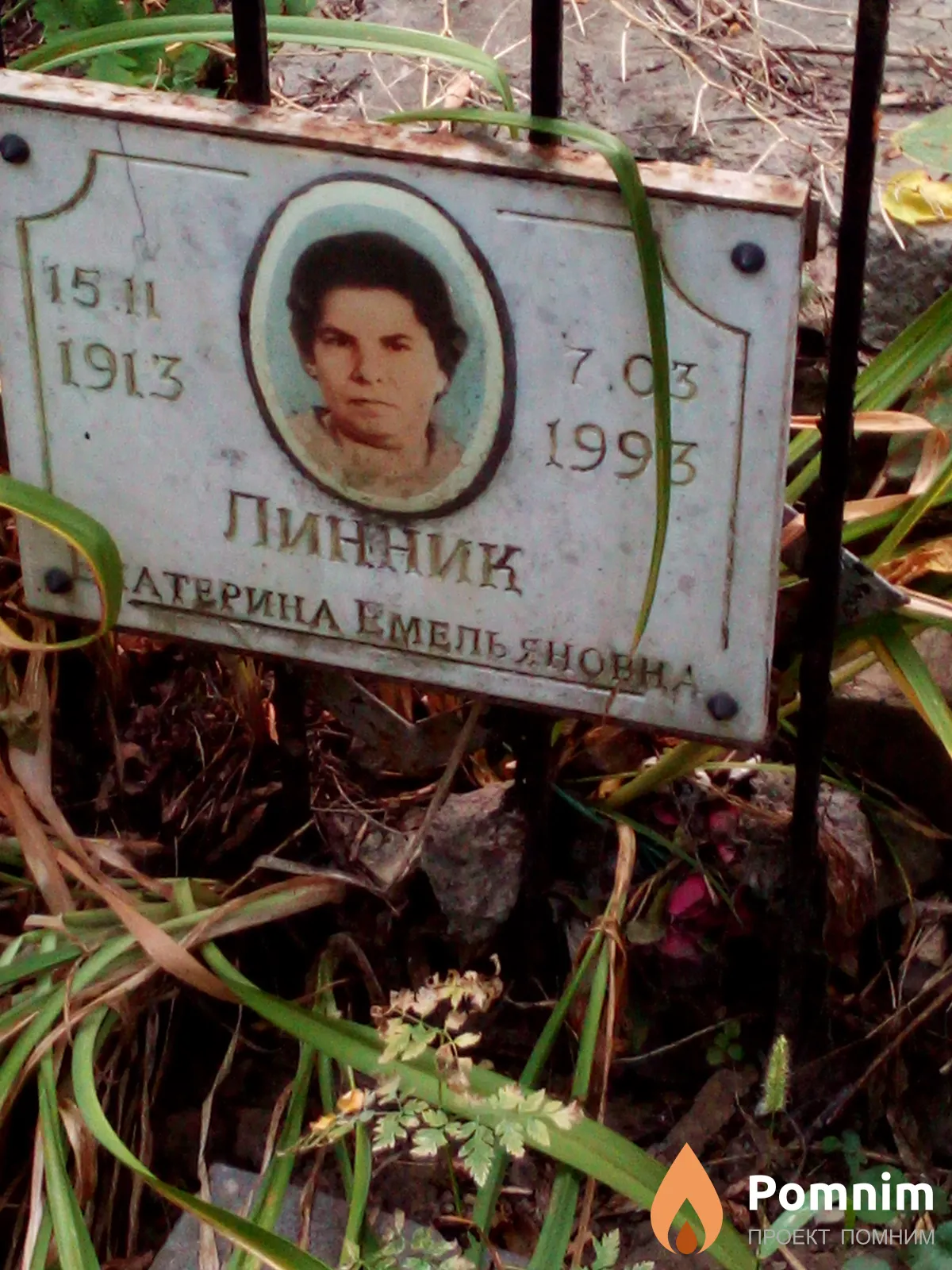 Линник Екатерина Емельяновна