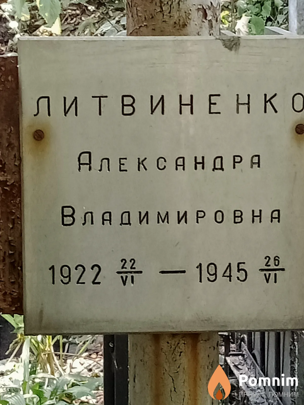 Литвиненко Александра Владимировна