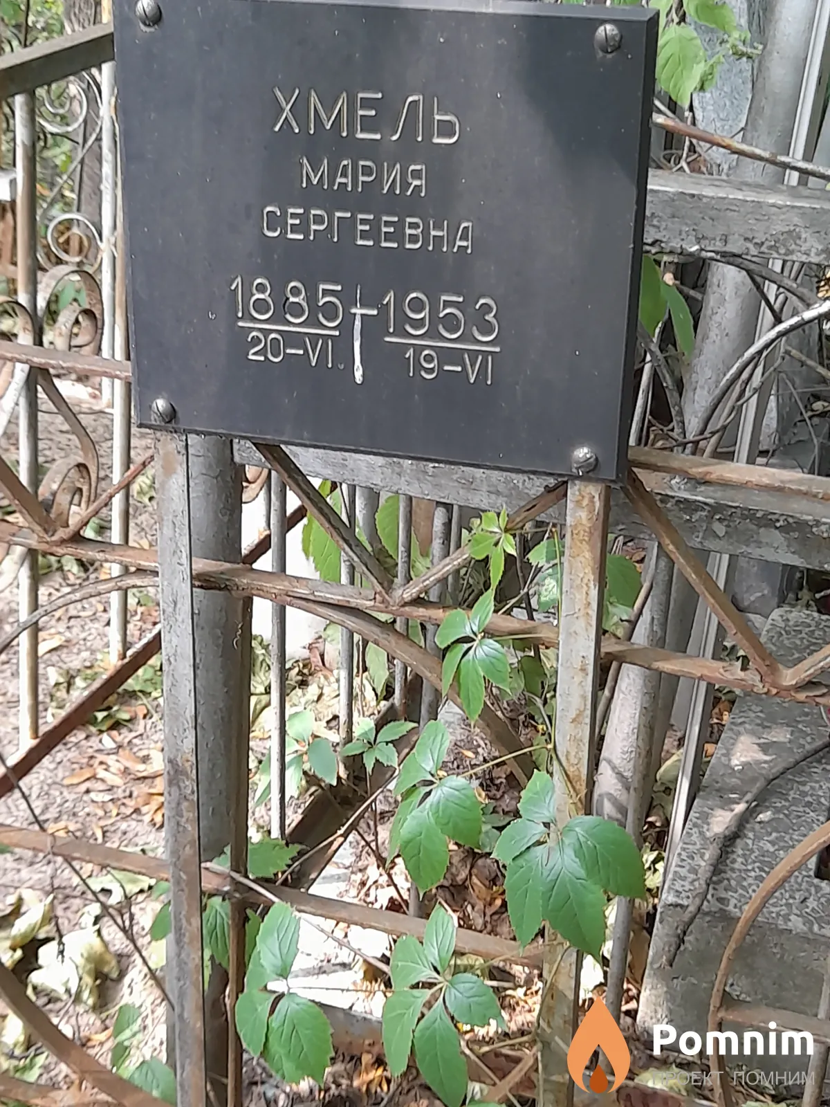 Хмель Мария Сергеевна