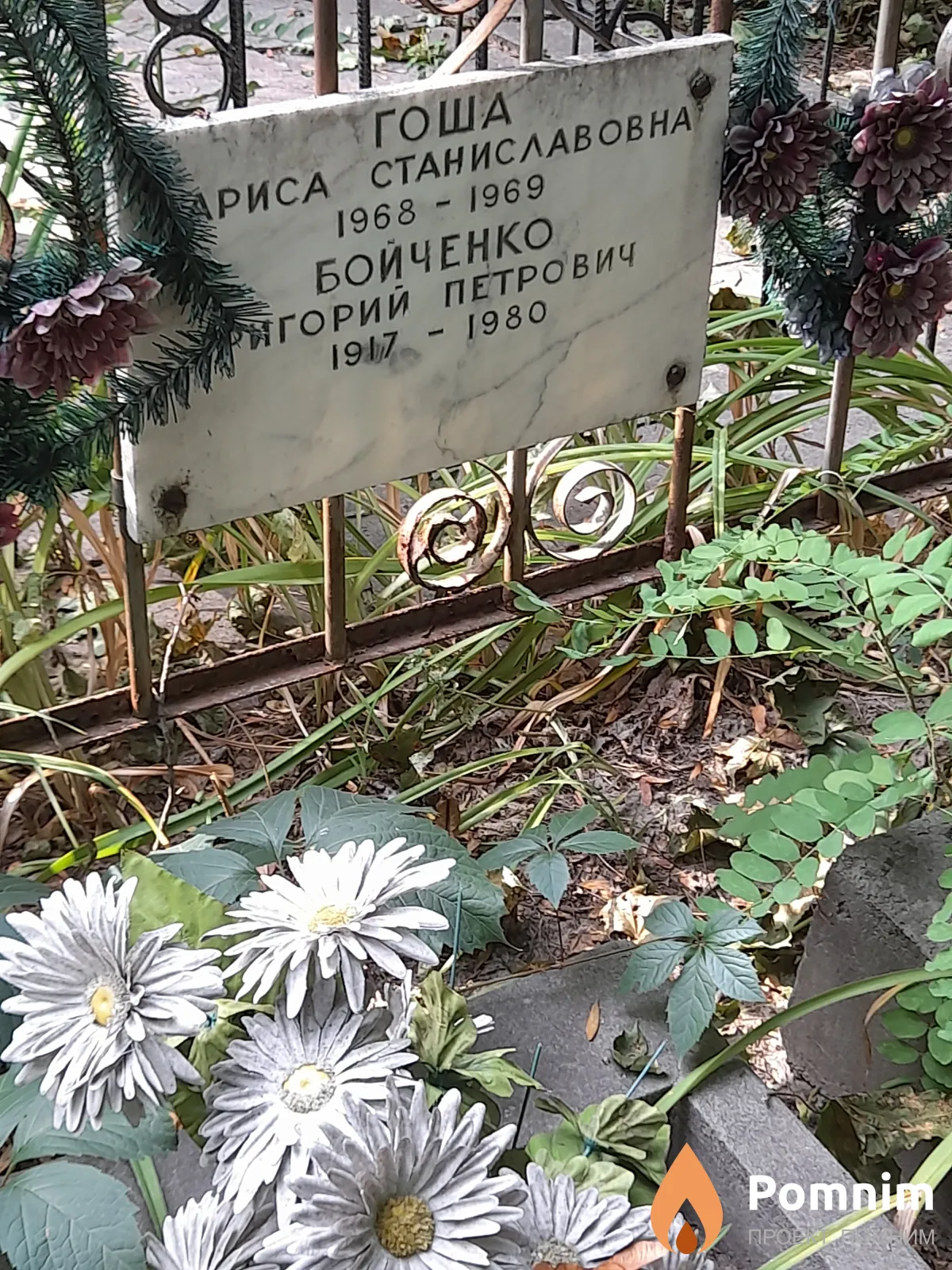 Гоша Лариса Станиславовна